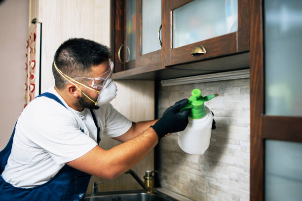 Best Wasp Removal Services  in Lake Erie Beach, NY