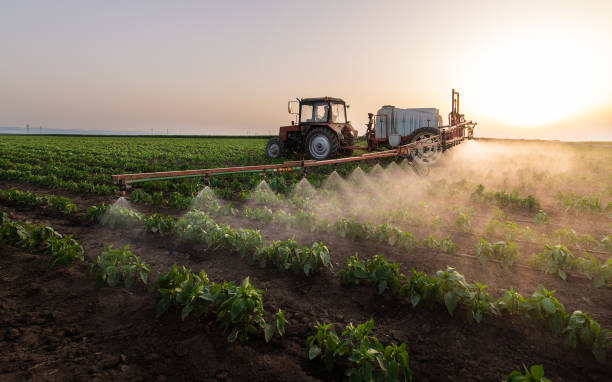 Best Mosquito Control Services  in Lake Erie Beach, NY