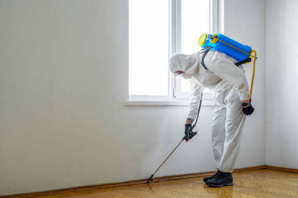 Professional Pest Control in Lake Erie Beach, NY