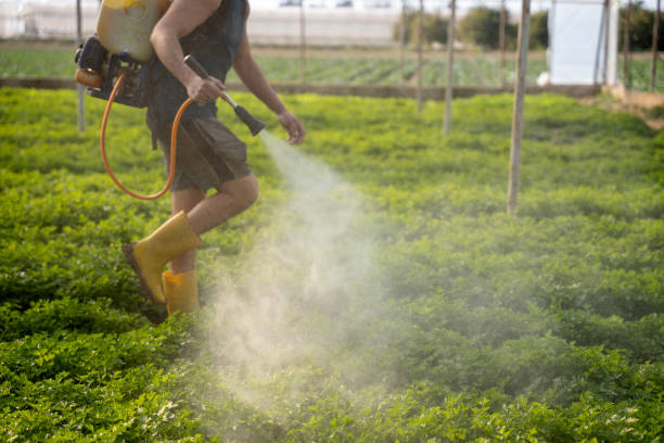 Best Best Pest Control Companies  in Lake Erie Beach, NY