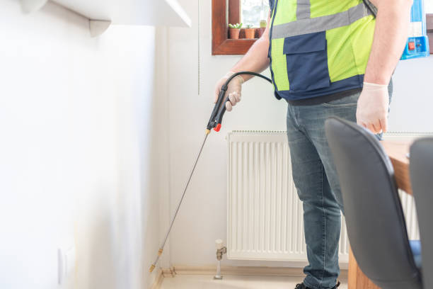 Best Flea Control Services  in Lake Erie Beach, NY