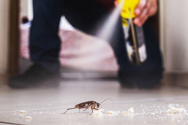 Pest Prevention Services in Lake Erie Beach, NY